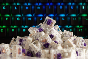 Mechanical Keyboard Switches